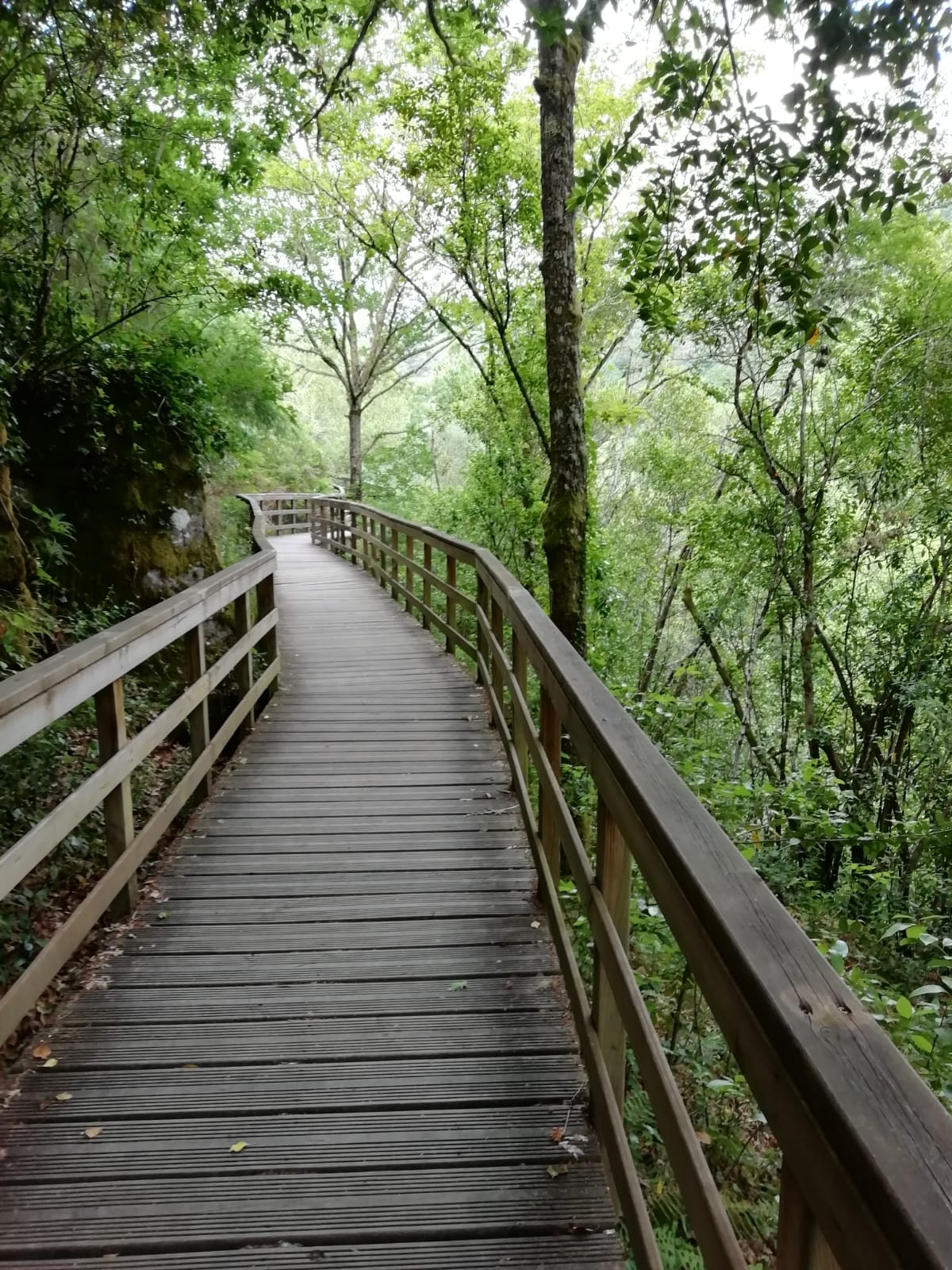 Pasarela Cantara da Moura.JPG