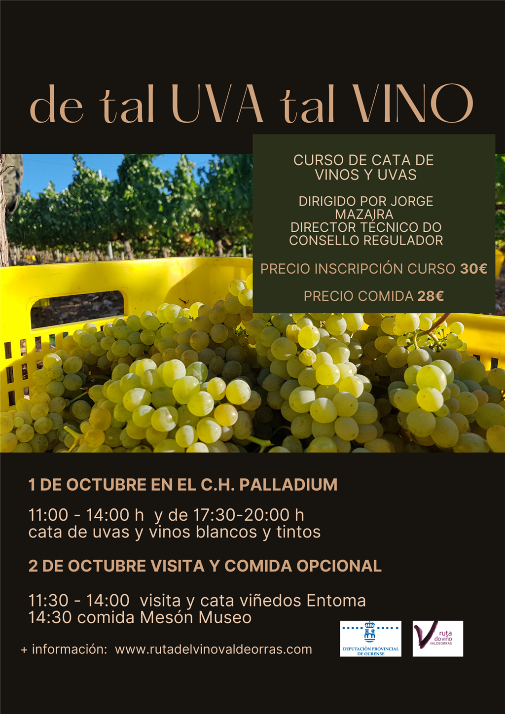 CURSO DE CATA DE TAL UVA TAL VINO 2022
