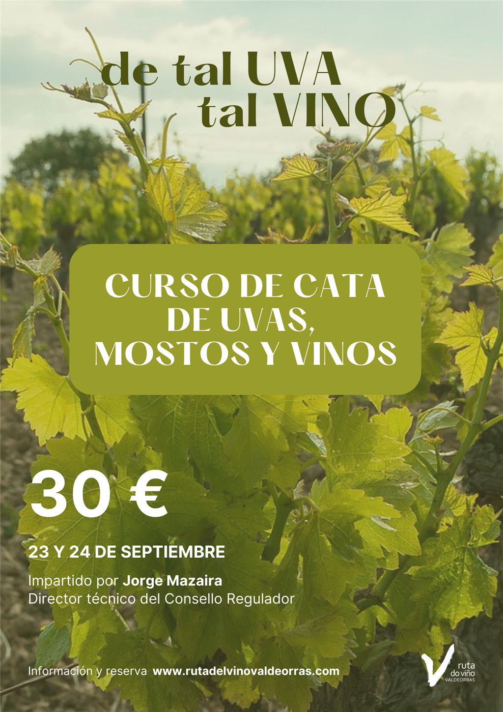 De  tal UVA tal VINO