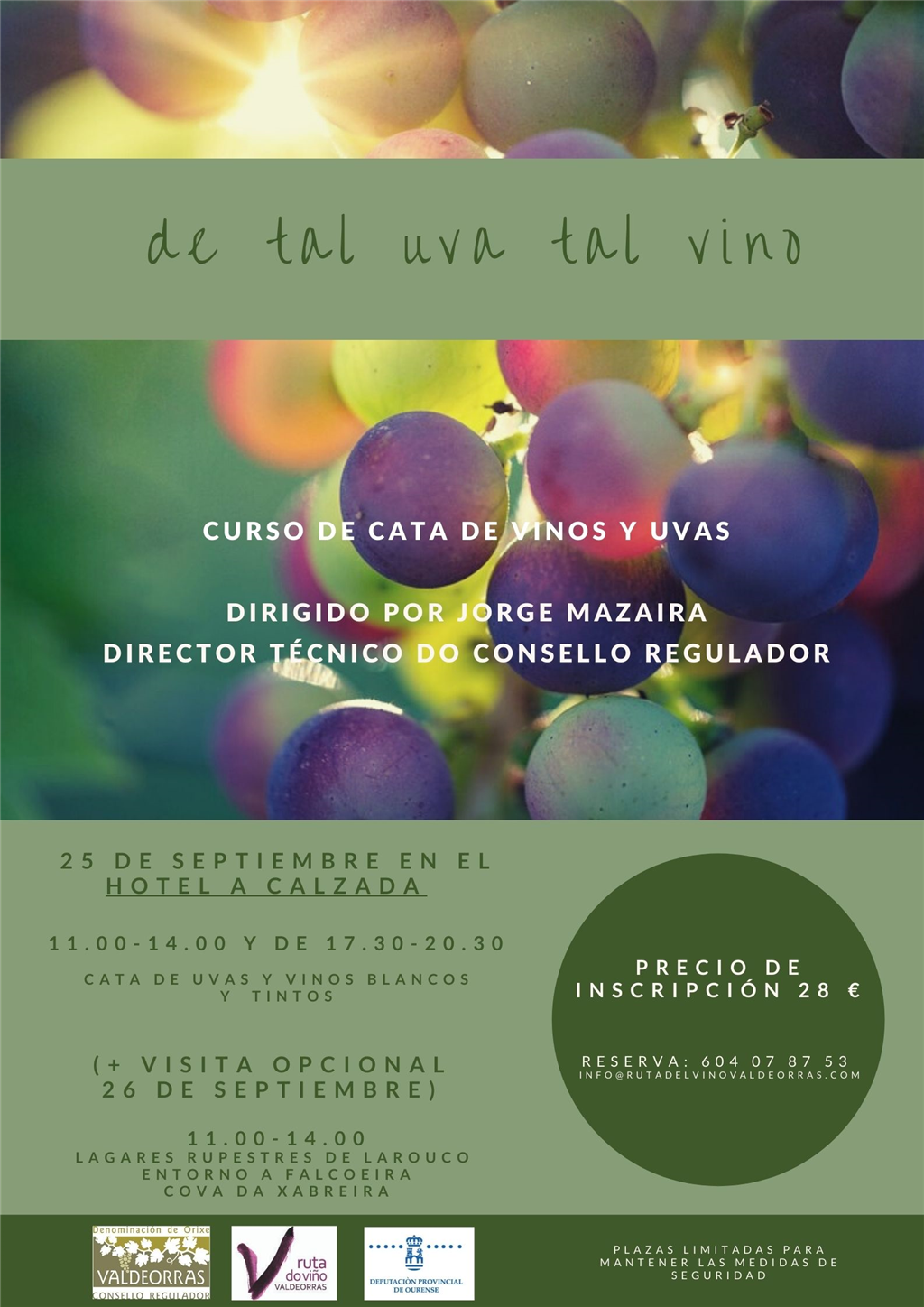 Curso de cata "de tal UVA tal VINO"