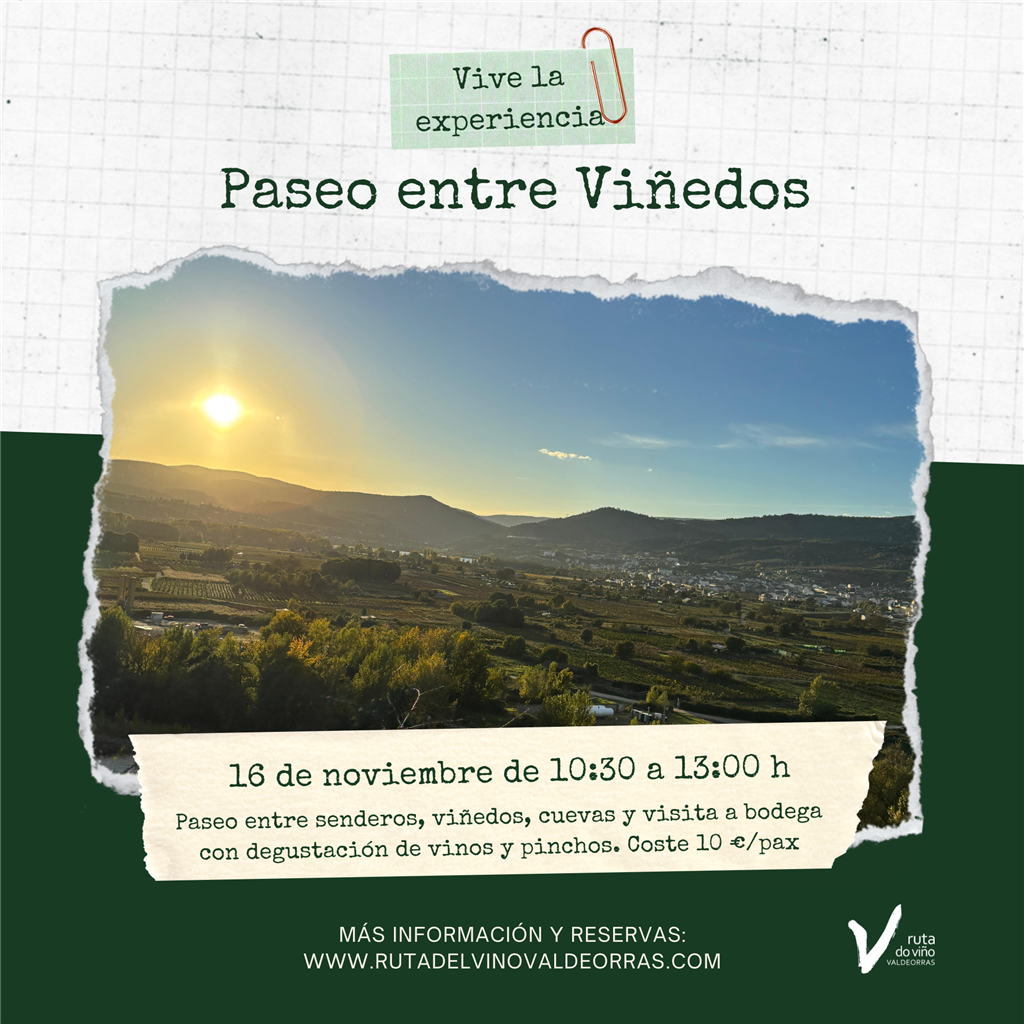 PASEO ENTRE VIÑEDOS